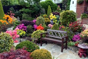 A Guide To Adding Color To Your Garden Design: Understanding Color ...