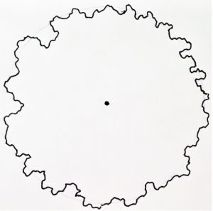 How to Draw 2d Trees - Perez Whate1974